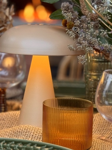 Mushroom touch lamp