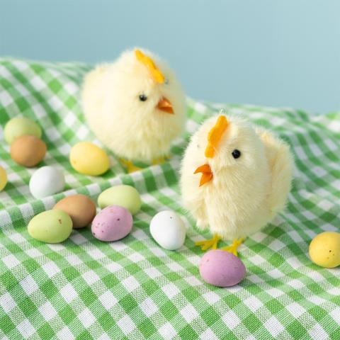 Two fluffy chicks on a green gingham cloth surrounded by small coloured eggs