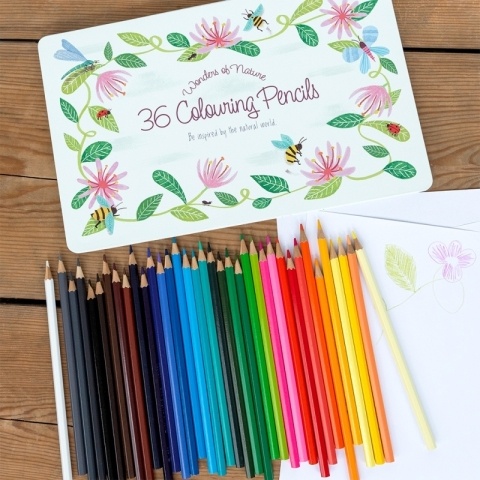 36 colouring pencils in tin 