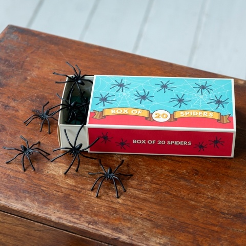Box of spiders