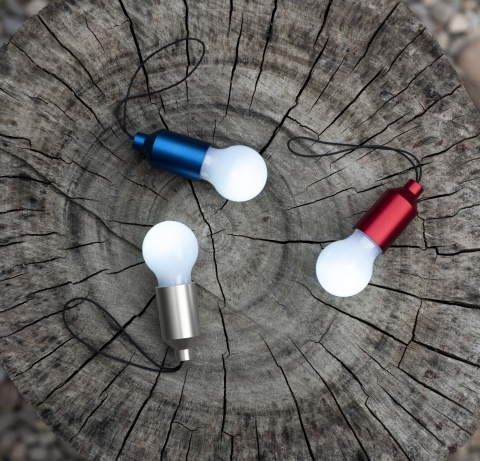 Light bulb keyring