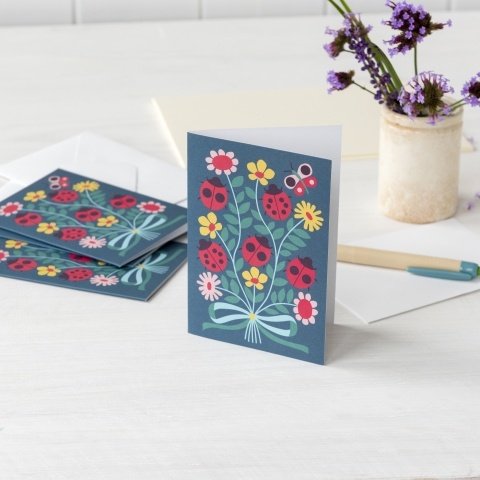 Pack of 10 ladybird cards