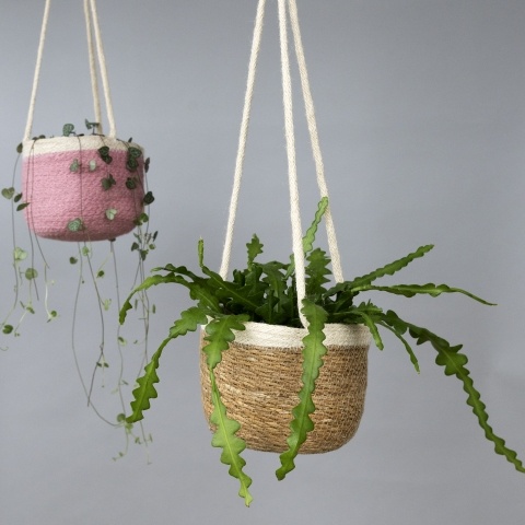 Hanging basket