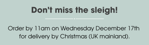 A banner with the text "Don't miss the sleigh! Order by 11am on Wednesday December 17th for delivery by Christmas (UK mainland)."