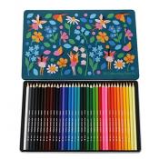 Fairies in the garden 36 colouring pencils in a tin