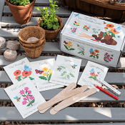Grow Your Own Bee And Butterfly Garden Kit