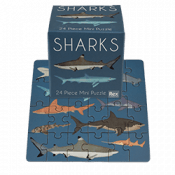 Shark puzzle