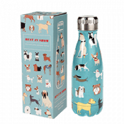 Best in show stainless steel water bottle