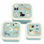 Best in show snack boxes