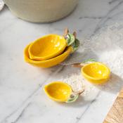 Ceramic measuring spoons (set of 4) - Lemons
