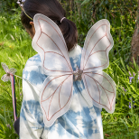 Fairies in the garden wing