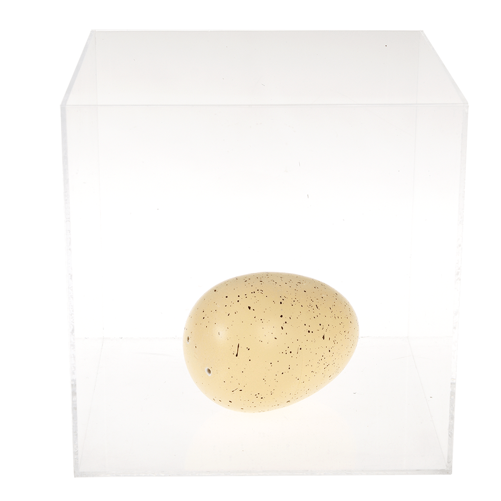  prehistoric land giant hatching dinosaur egg rex london