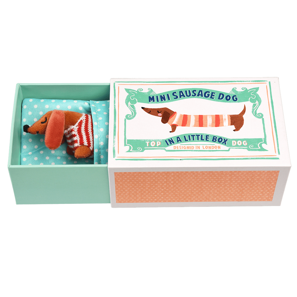 ﻿Mini Sausage Dog In A Little Box ﻿Rex London