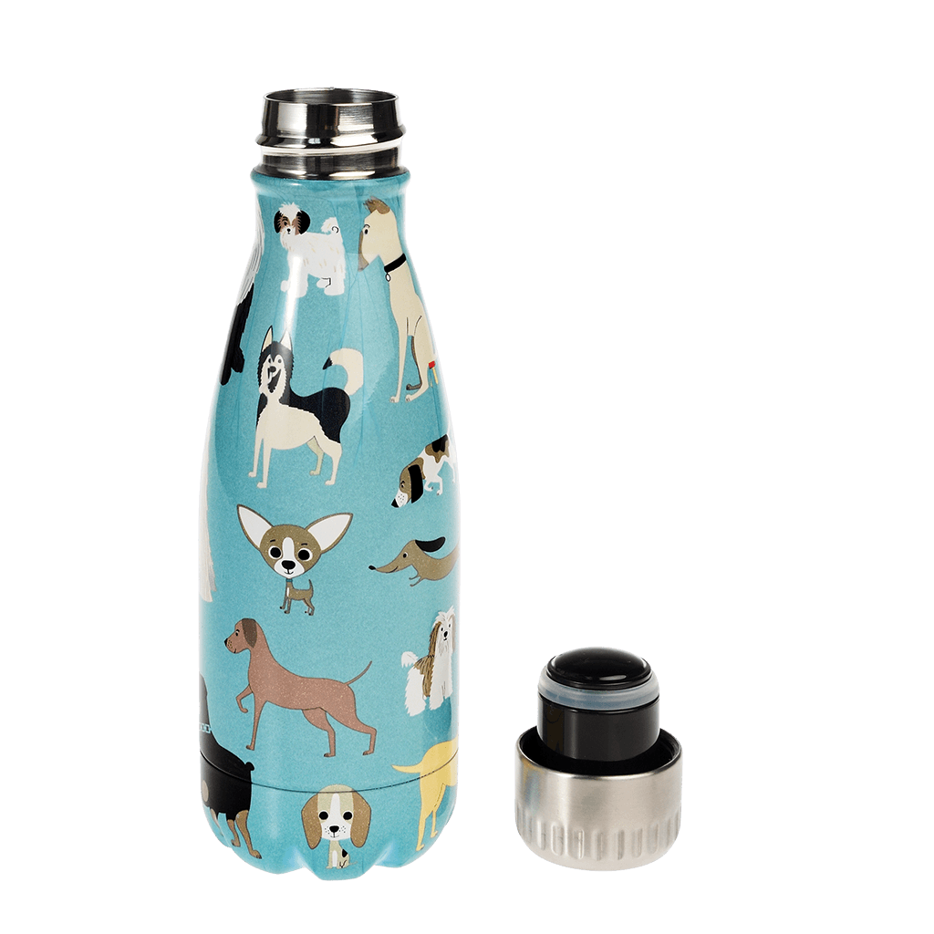 Best In Show 260ml Stainless Steel Bottle ﻿Rex London