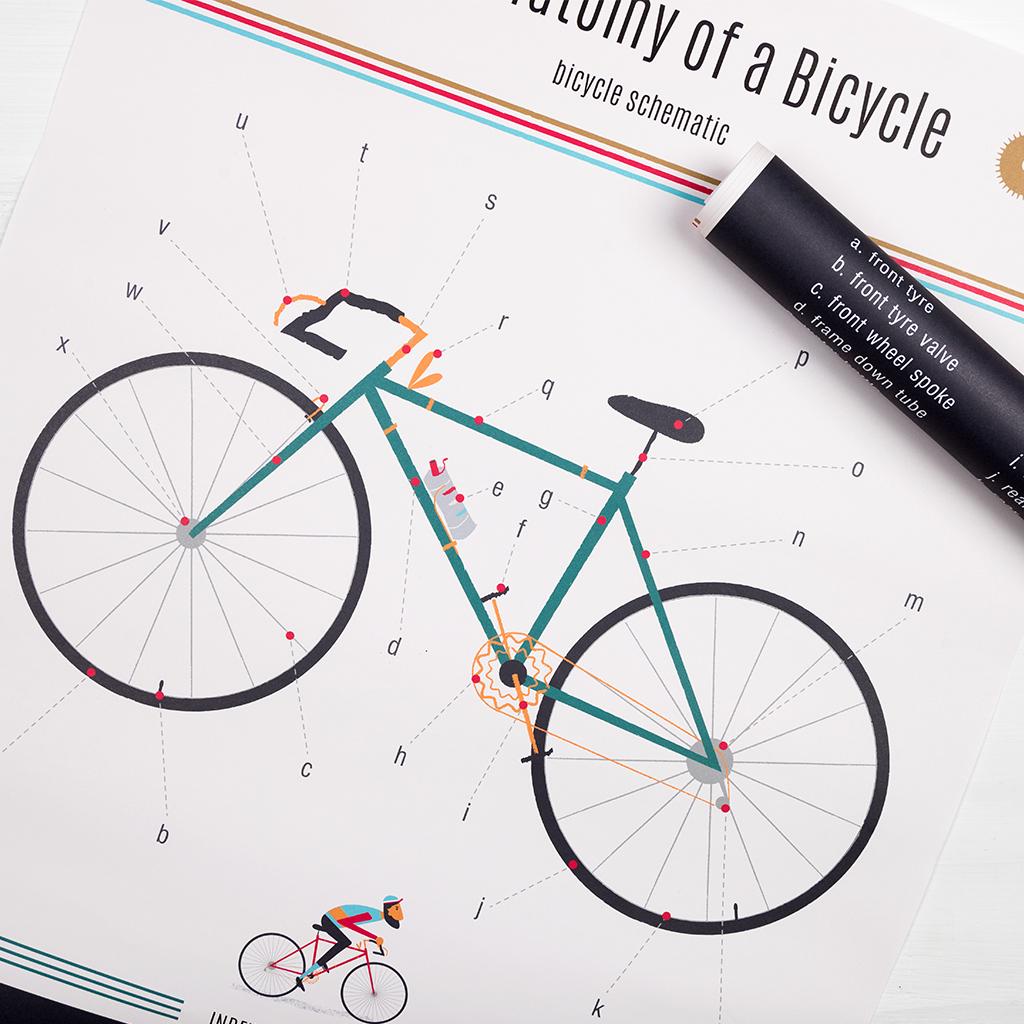 ﻿Anatomy Of A Bicycle Wrapping Paper (5 Sheets) ﻿Rex London