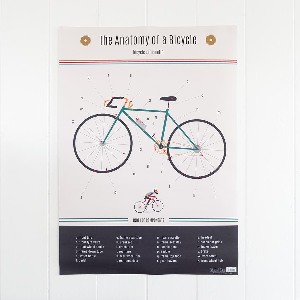 Rex London 5 SHEETS OF ANATOMY OF A BICYCLE GIFT WRAPPING PAPER 