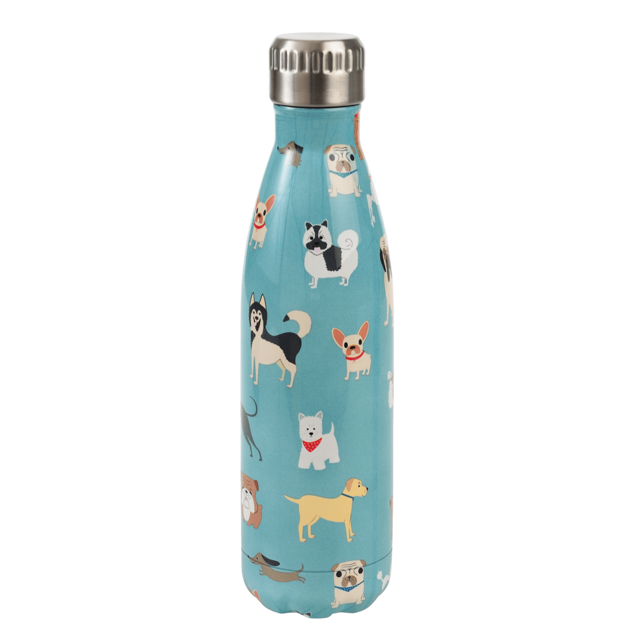 ﻿Best In Show Stainless Steel Bottle ﻿Rex London