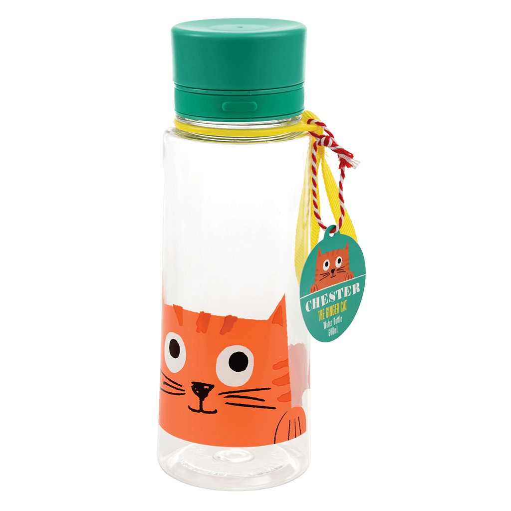 cats water bottle