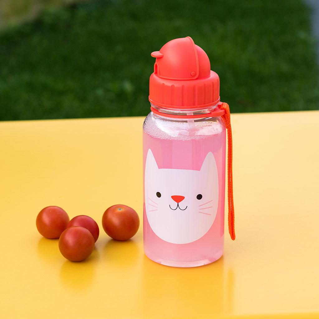cat drinking bottle