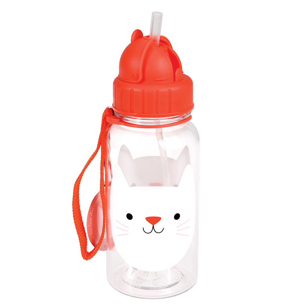 cat drinking bottle