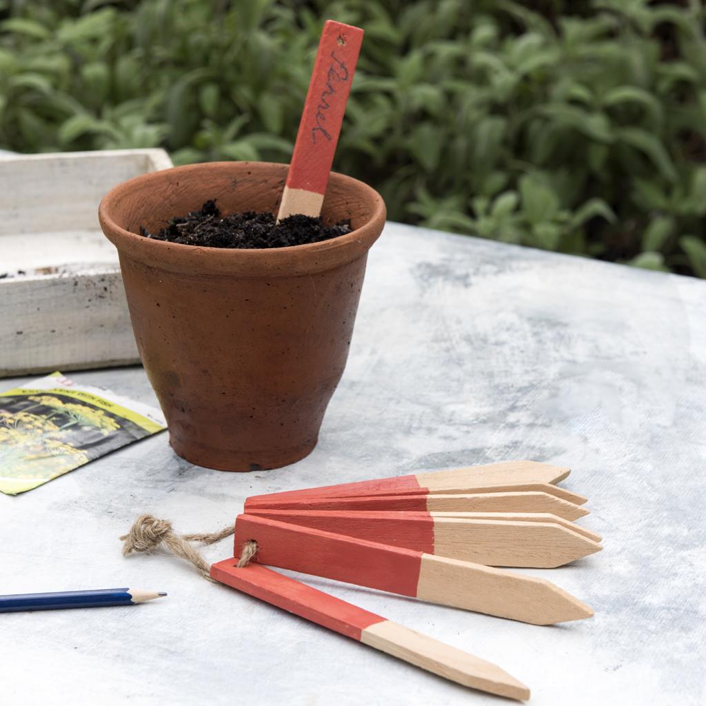 ﻿8 Wooden Plant Labels ﻿Rex London