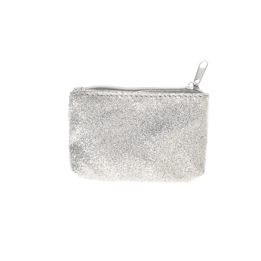 silver sparkly purse