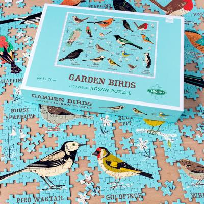 Garden Birds