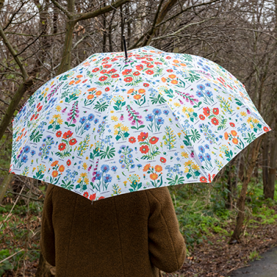 Parapluies