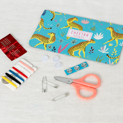 Accessoires de voyage