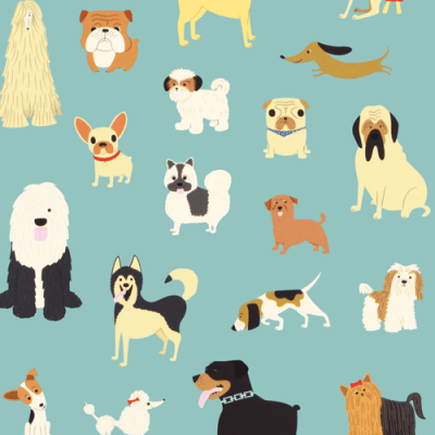 Best in Show