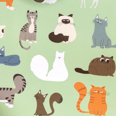 Nine Lives