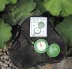 Nature Trail Compass