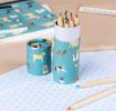 Best In Show Colouring Pencils (set Of 12)