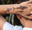 Shark Temporary Tattoos (2 Sheets)