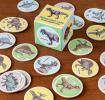 Memory game pieces with prints of pictures of dinosaurs on table with box