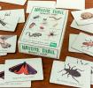 40 piece memory game with cards depicting wildlife found on nature trails on table