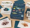 40 piece memory game with cards depicting ocean creatures on table