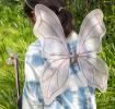 Fairy Wings