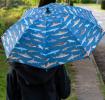 Sharks Children's umbrella