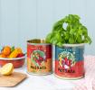 Passata metal storage tins, one containing a plant