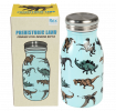 Prehistoric Land 250ml stainless steel bottle with box