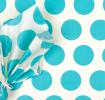 Turquoise On White Spotlight Tissue Paper (10 Sheets)