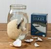 Sharks Giant Hatching Shark Egg