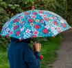 Ladybird Children's Umbrella