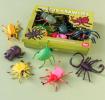 Assorted Creepy Crawlies 