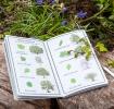 Nature Trail Journal