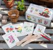 Wonders Of Nature Bee And Butterfly Garden Seed Kit