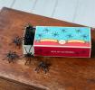 Box Of 20 Spiders