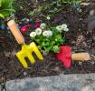 Gardening Tools - Ladybird