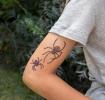 Temporary Tattoos - Spiders